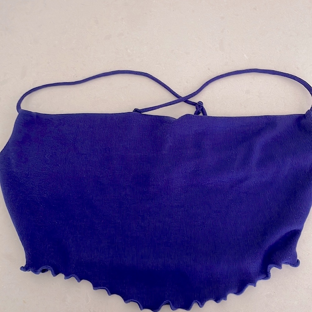 Urban outfitters purple jewel tone crop top